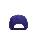 Obey delta 5 panel snapback - Purple