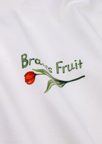 brams-fruit-flora-2-0-longsleeve-fw26-2100