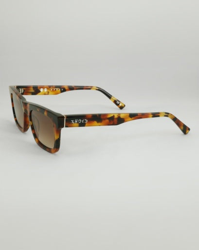 Wayfarer Frame Sunglasses - Tortoiseshell