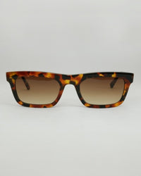 Wayfarer Frame Sunglasses - Tortoiseshell
