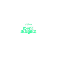 stieglitz-world-of-stieg-oversized-t-shirt-s2602016-027